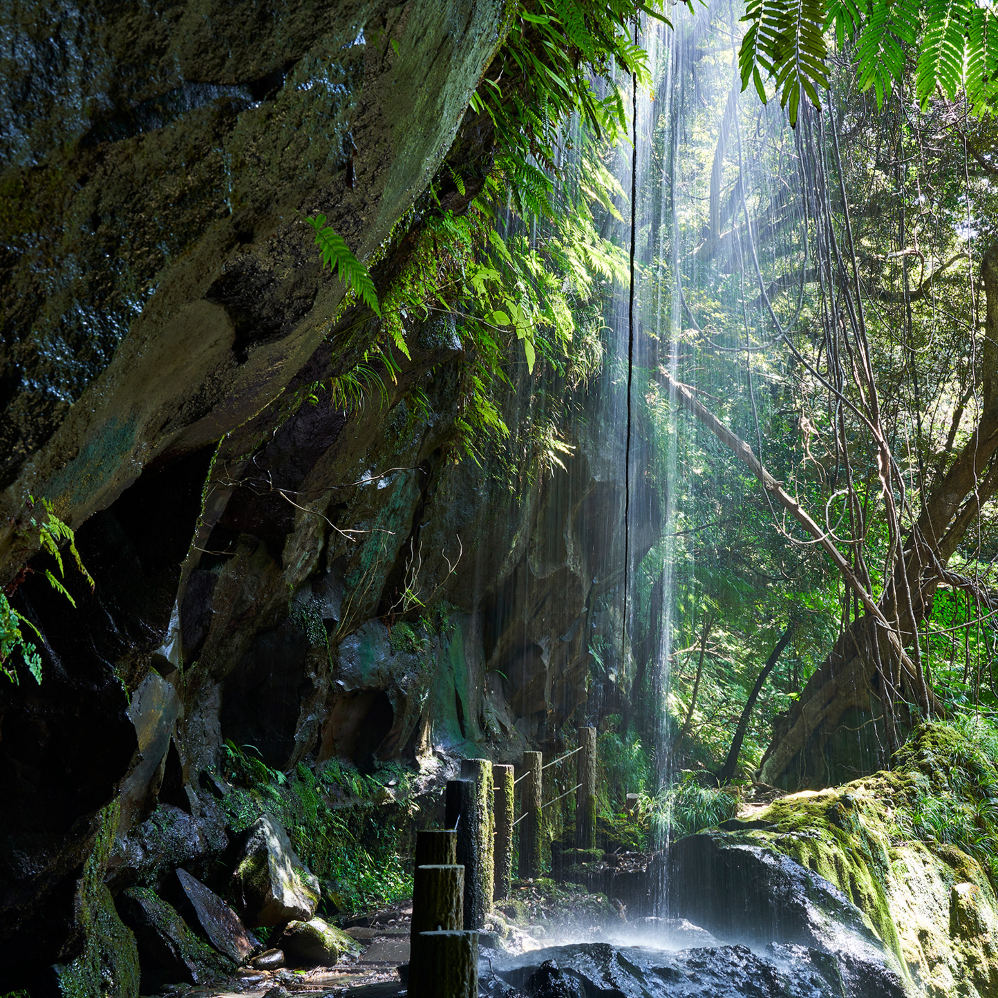 Hachijojima: Forget the Stress of the City on One of Tokyo’s Outer Island Paradises