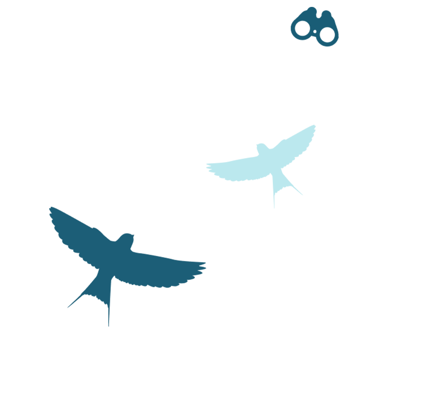 BIRDLIFE <br />
UP CLOSE AND <br />
AMONGST NATURE