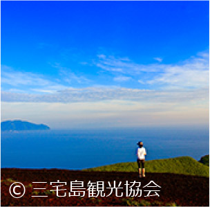 2 Courses for Exploring Miyakejima’s Charming Natural Wonders