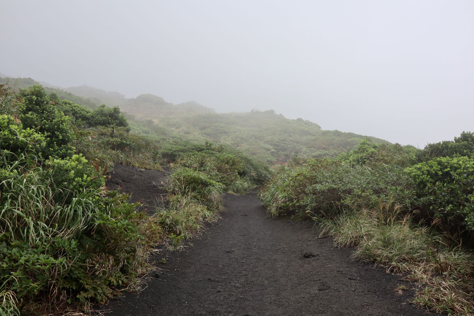 Oshima Tokyo’s Hidden Island Paradise 7 MustDo Activities