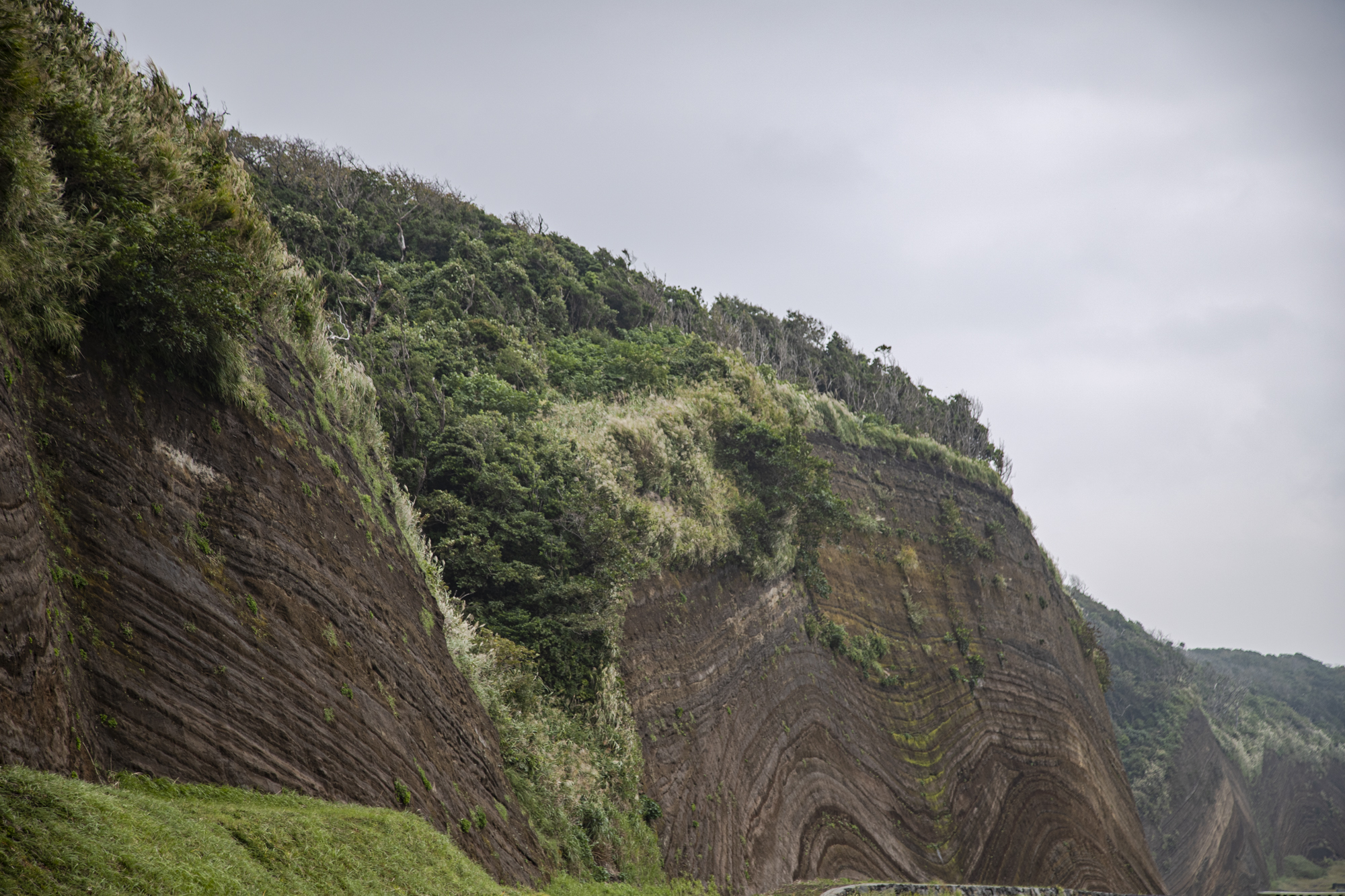 Geological Strata (Big Baumkuchen)