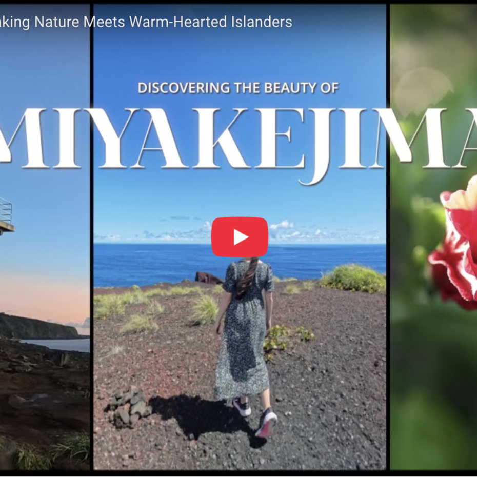 Miyakejima: An Island Adventure From Land to Sea