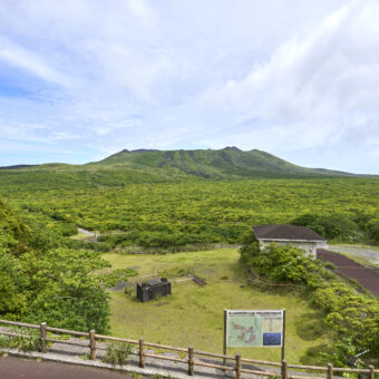 Two 1-day Beginner-Friendly Guided Tours on Oshima