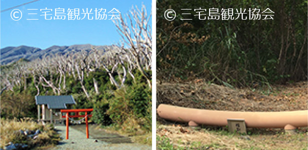 Shiitori Shrine