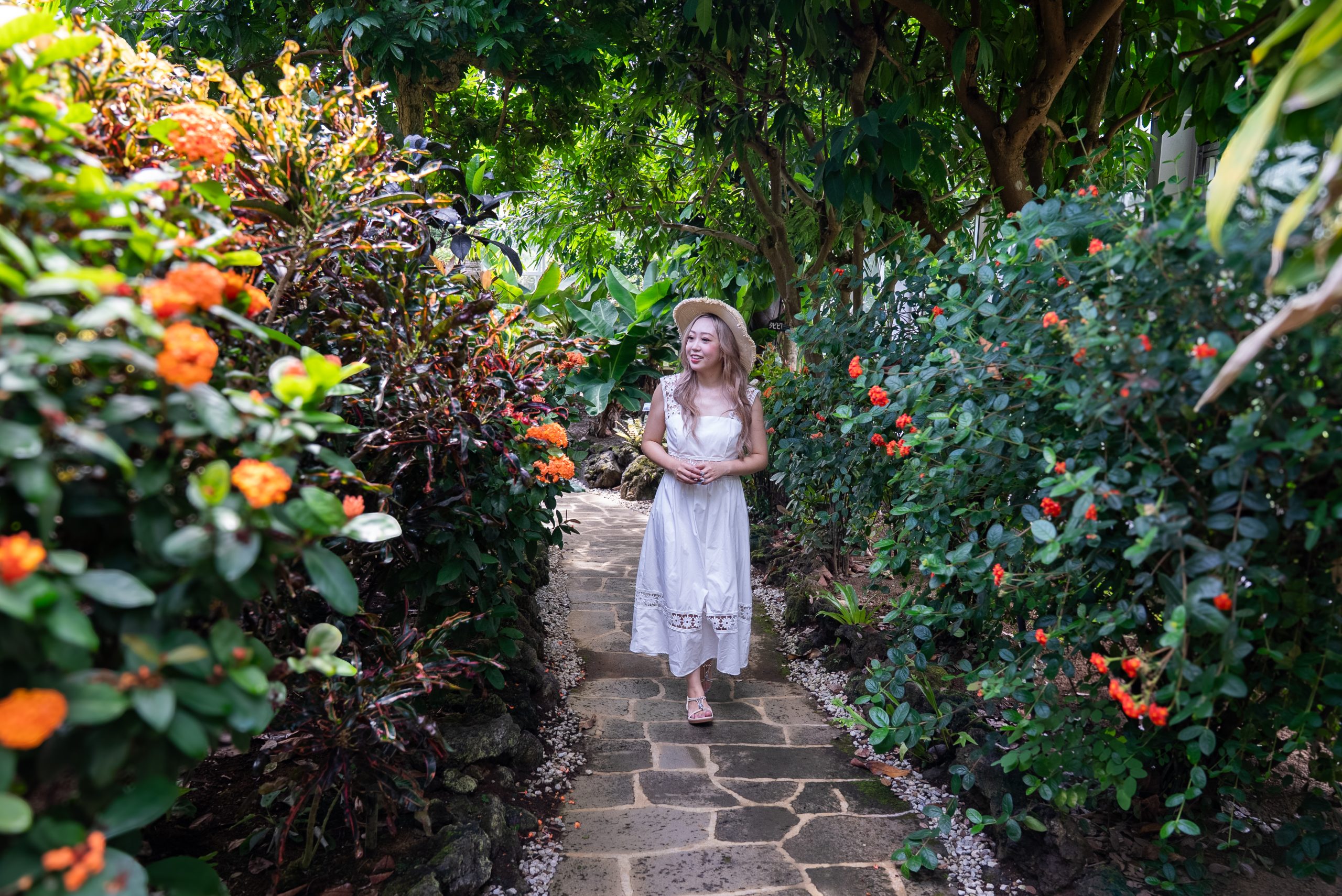 Hachijo Botanical Garden 