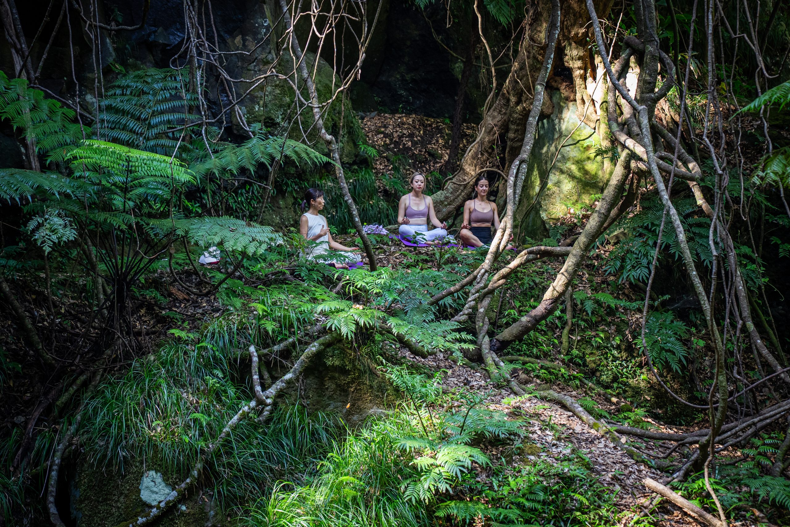 Forest Therapy Yoga at Uramigataki Waterfall