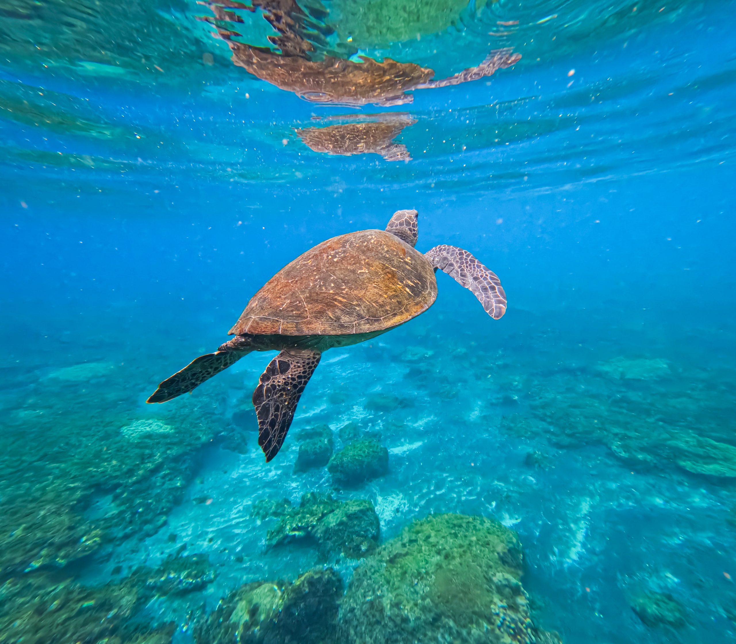 A Weekend in Hachijojima, Tokyo’s Island of Vibrant Colors, Peaceful Sights, and Endless Experiences