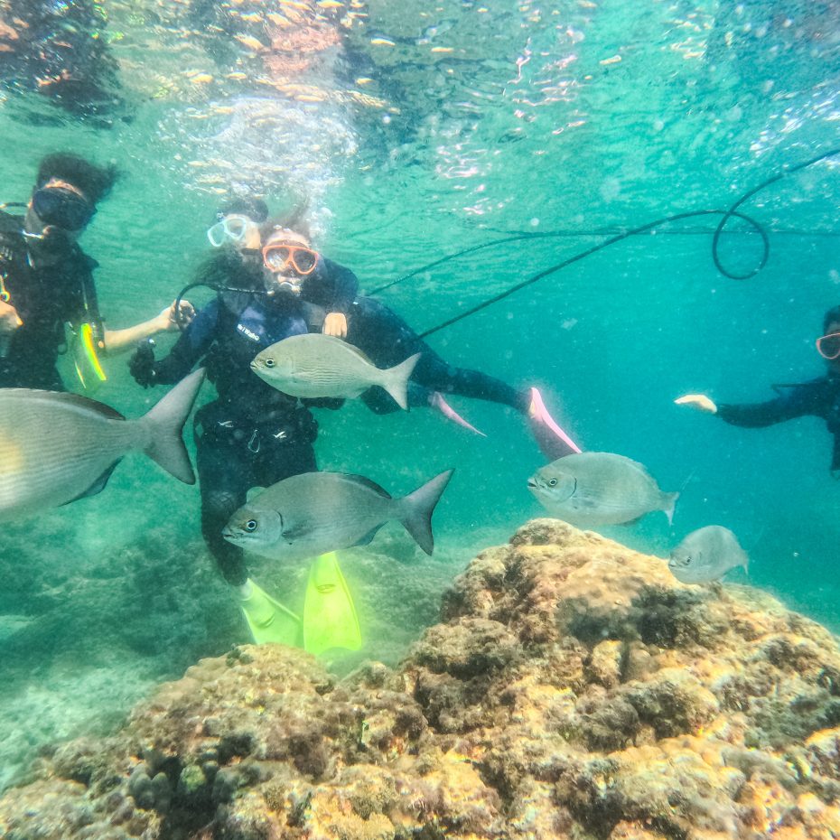 2 Days in Shikinejima, Tokyo’s Island of Springs and Sea