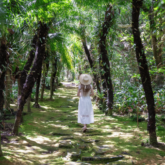 Hachijojima thumbnail