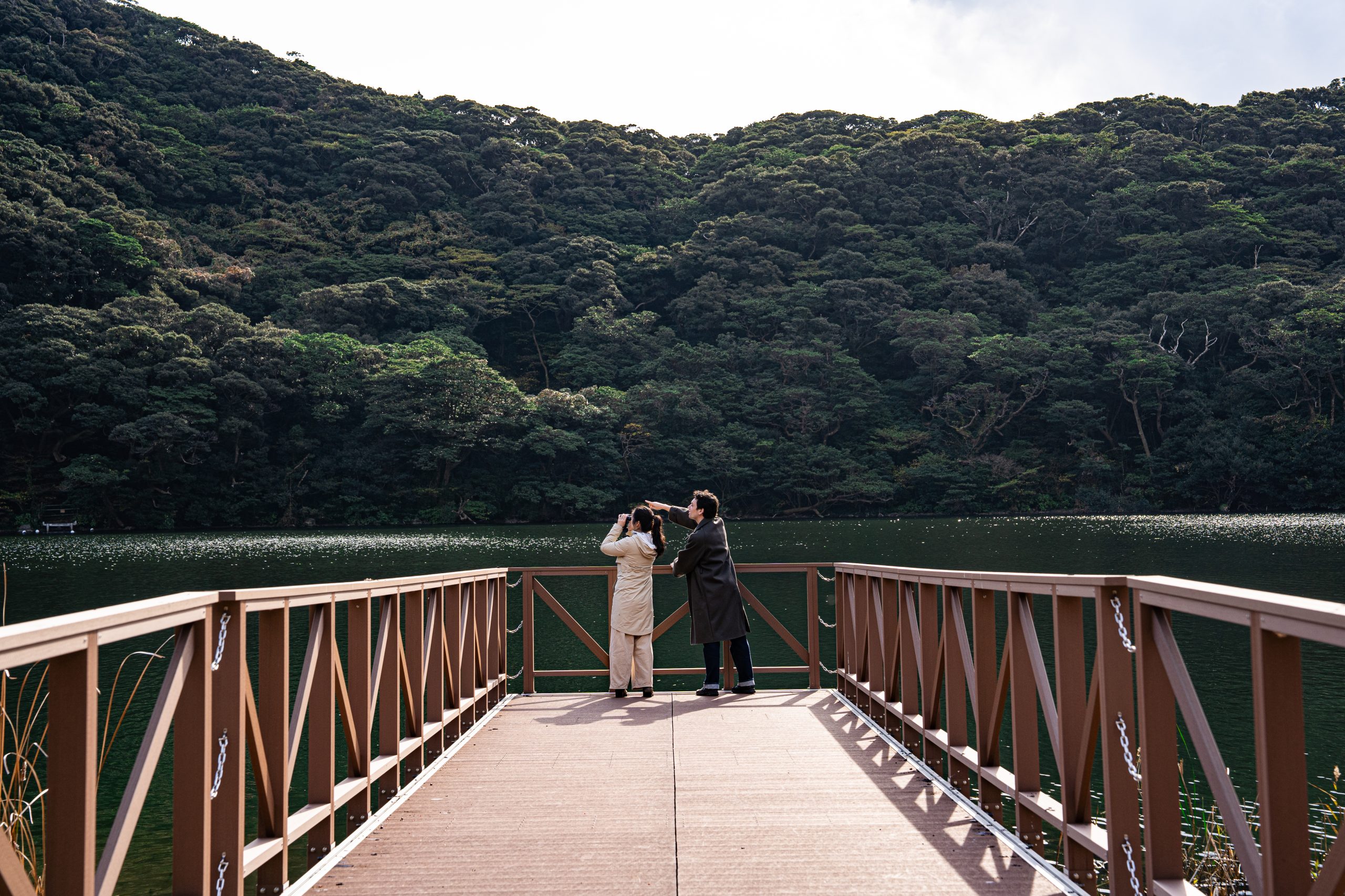 2 Days on Miyakejima—Nature, Wildlife & Local Life